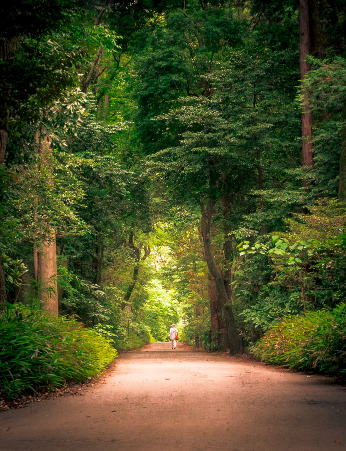 Lonely Path in Yoyogi Park