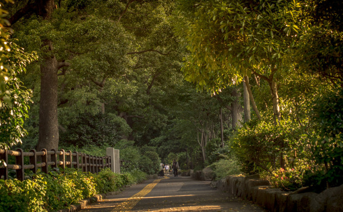 Into the Heart of Hibiya Park