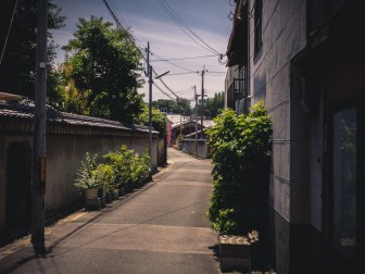 Green Path