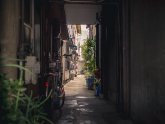 Down the Alley