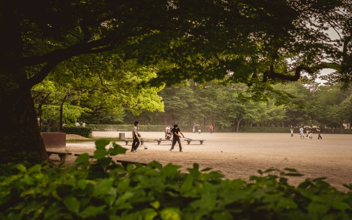 Baseball at the Palace