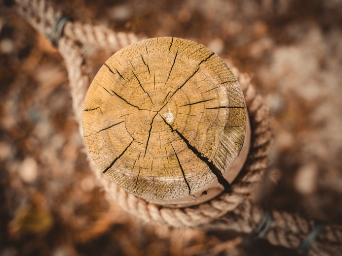 Fence Post