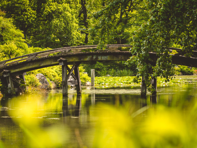 Lake Bridge