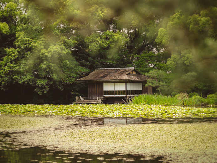 House on the Lake