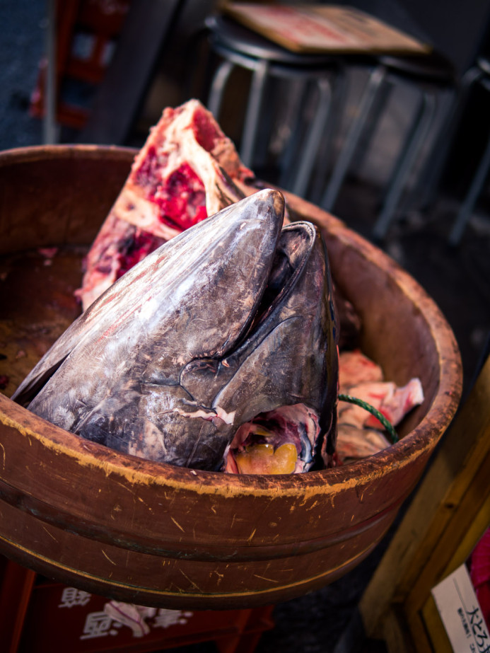 Fish head at Tsukiji Fish Market