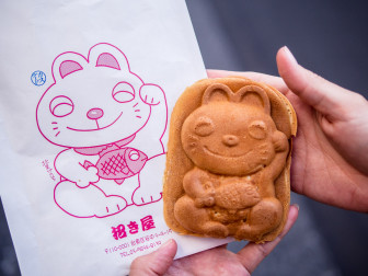 Neko Taiyaki!