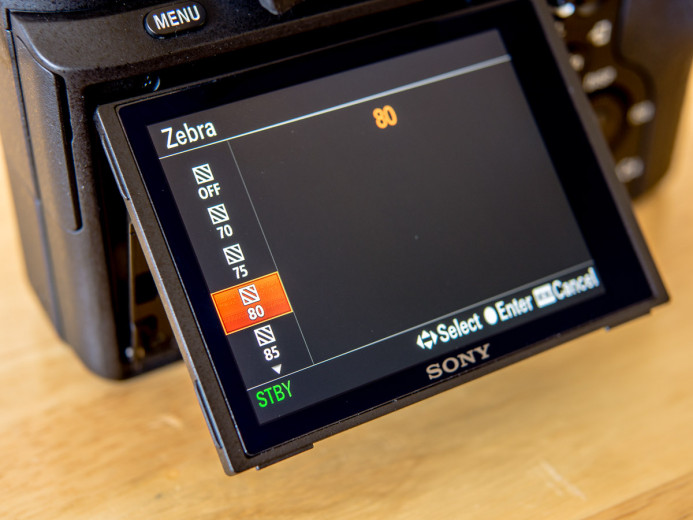 Sony a7S II Zebra Selection Screen