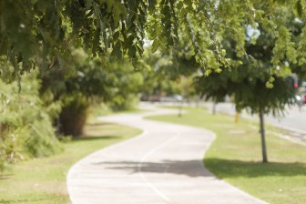 The Wandering Path